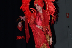 carnival-miguelturra-costumes-museum-2024