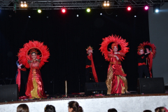carnival-miguelturra-costumes-museum-2024