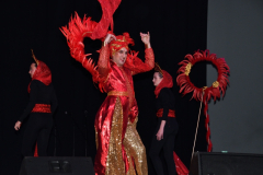 carnival-miguelturra-costumes-museum-2024