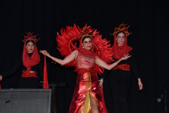 carnival-miguelturra-costumes-museum-2024