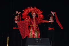 carnival-miguelturra-costumes-museum-2024