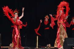 carnival-miguelturra-costumes-museum-2024