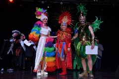 carnival-miguelturra-costumes-museum-2024