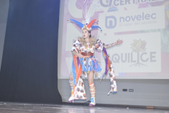 carnival-miguelturra-costumes-museum-2025