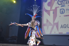 carnival-miguelturra-costumes-museum-2025
