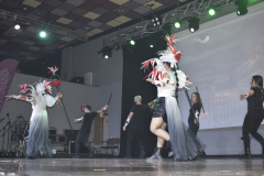 carnival-miguelturra-costumes-museum-2025