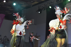 carnival-miguelturra-costumes-museum-2025