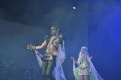 carnival-miguelturra-costumes-museum-2025