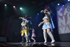 carnival-miguelturra-costumes-museum-2025