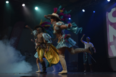 carnival-miguelturra-costumes-museum-2025