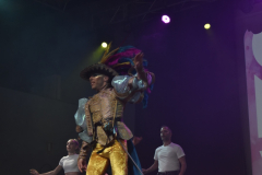 carnival-miguelturra-costumes-museum-2025