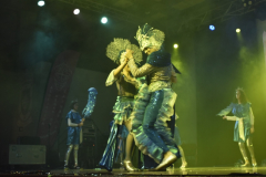 carnival-miguelturra-costumes-museum-2025