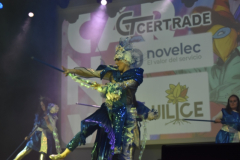 carnival-miguelturra-costumes-museum-2025