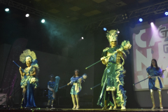carnival-miguelturra-costumes-museum-2025