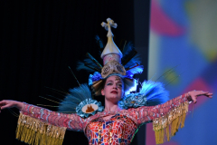 carnaval-miguelturra-trajes-2026