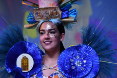 carnaval-miguelturra-trajes-2026