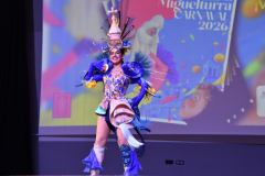 carnaval-miguelturra-trajes-2026-012