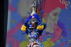 carnaval-miguelturra-trajes-2026-013