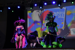 carnaval-miguelturra-trajes-2026-021
