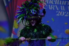 carnaval-miguelturra-trajes-2026