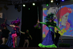 carnaval-miguelturra-trajes-2026-038