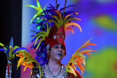 carnaval-miguelturra-trajes-2026