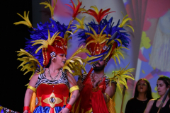 carnaval-miguelturra-trajes-2026