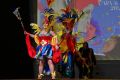 carnaval-miguelturra-trajes-2026