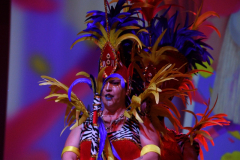 carnaval-miguelturra-trajes-2026