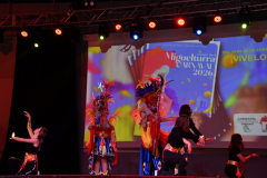 carnaval-miguelturra-trajes-2026
