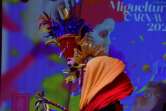 carnaval-miguelturra-trajes-2026