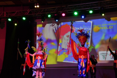 carnaval-miguelturra-trajes-2026