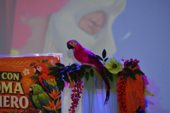 carnaval-miguelturra-trajes-2026