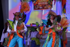 carnaval-miguelturra-trajes-2026