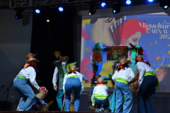 carnaval-miguelturra-trajes-2026