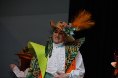 carnaval-miguelturra-trajes-2026