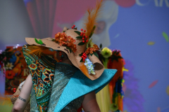 carnaval-miguelturra-trajes-2026-086