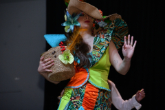 carnaval-miguelturra-trajes-2026-088