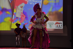 carnaval-miguelturra-trajes-2026