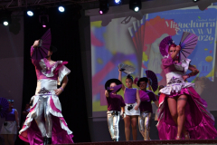 carnaval-miguelturra-trajes-2026-116