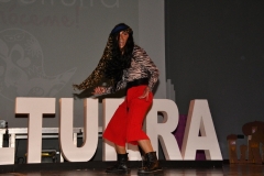 carnaval-miguelturra-careta-2020
