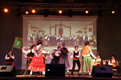 carnaval-miguelturra-tu-careta-2023
