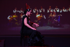 carnaval-miguelturra-careta-2026