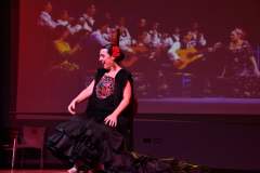 carnaval-miguelturra-careta-2026