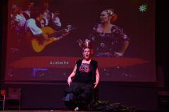 carnaval-miguelturra-careta-2026