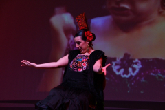 carnaval-miguelturra-careta-2026