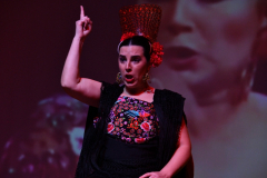 carnaval-miguelturra-careta-2026