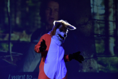 carnaval-miguelturra-careta-2026