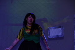 carnaval-miguelturra-careta-2026