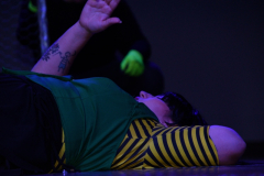 carnaval-miguelturra-careta-2026